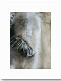 Contemplating, 2023. From the Quiet Rituals Collection.